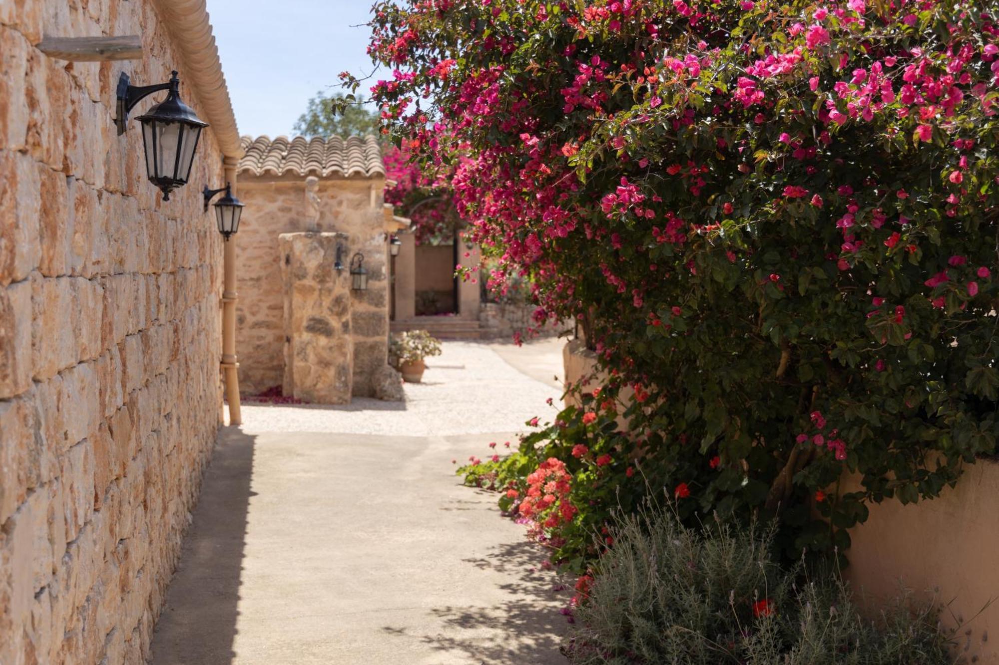 Son Marimon (adults Only) Séjour à la ferme Santanyí